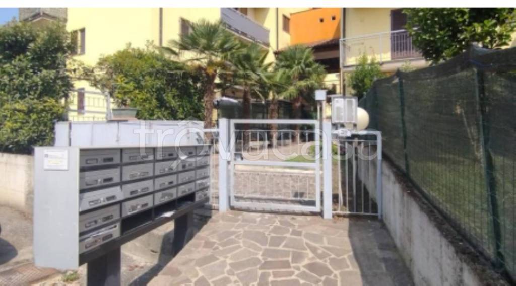 immagine annuncio 2 di 12