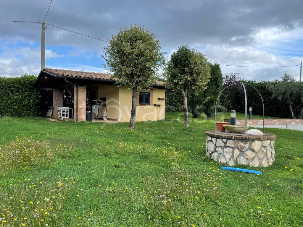immagine annuncio 8 di 11
