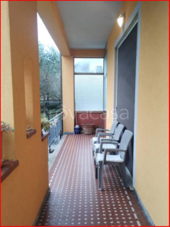 immagine annuncio 6 di 14