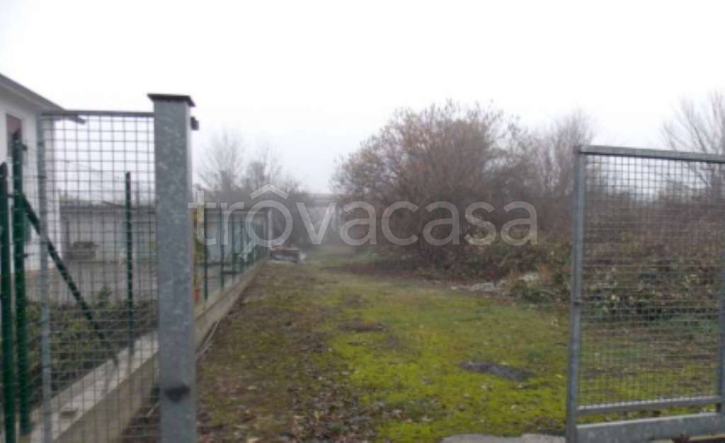 immagine annuncio 1 di 14