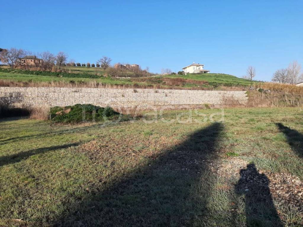 immagine annuncio 11 di 15