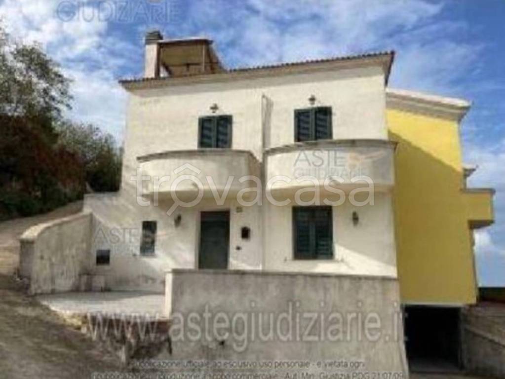 immagine annuncio 10 di 12