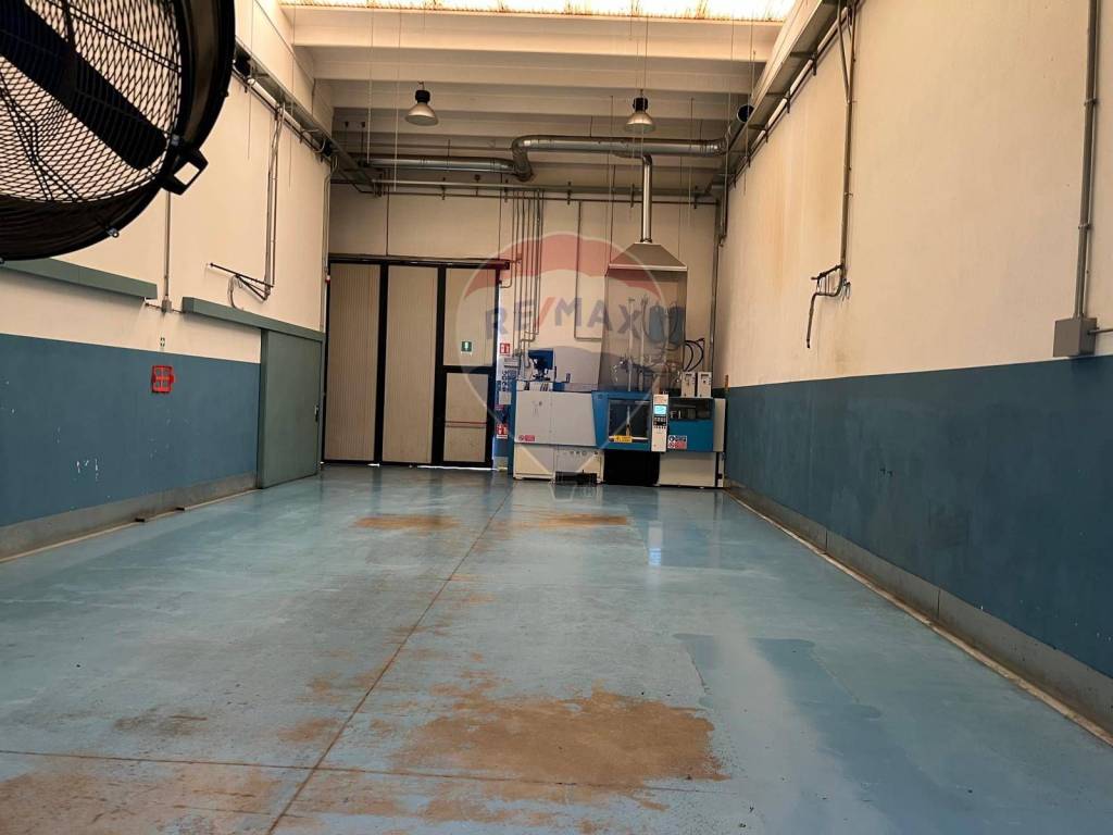 immagine annuncio 5 di 14