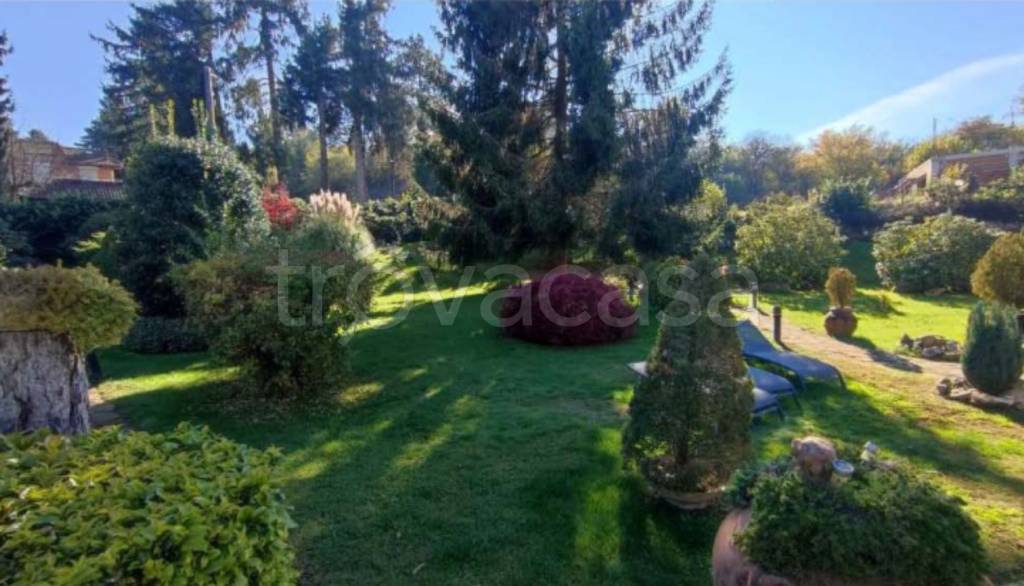 immagine annuncio 7 di 11