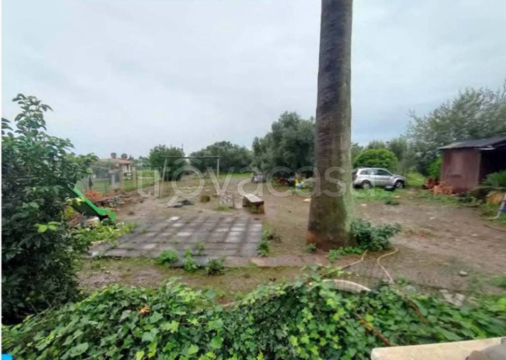 immagine annuncio 8 di 13