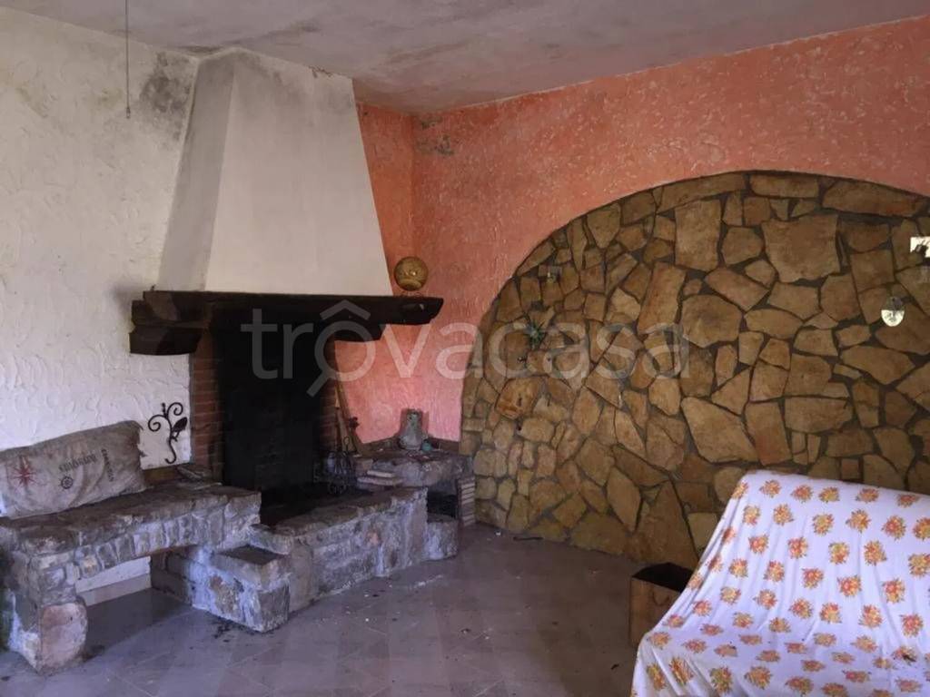 immagine annuncio 10 di 14