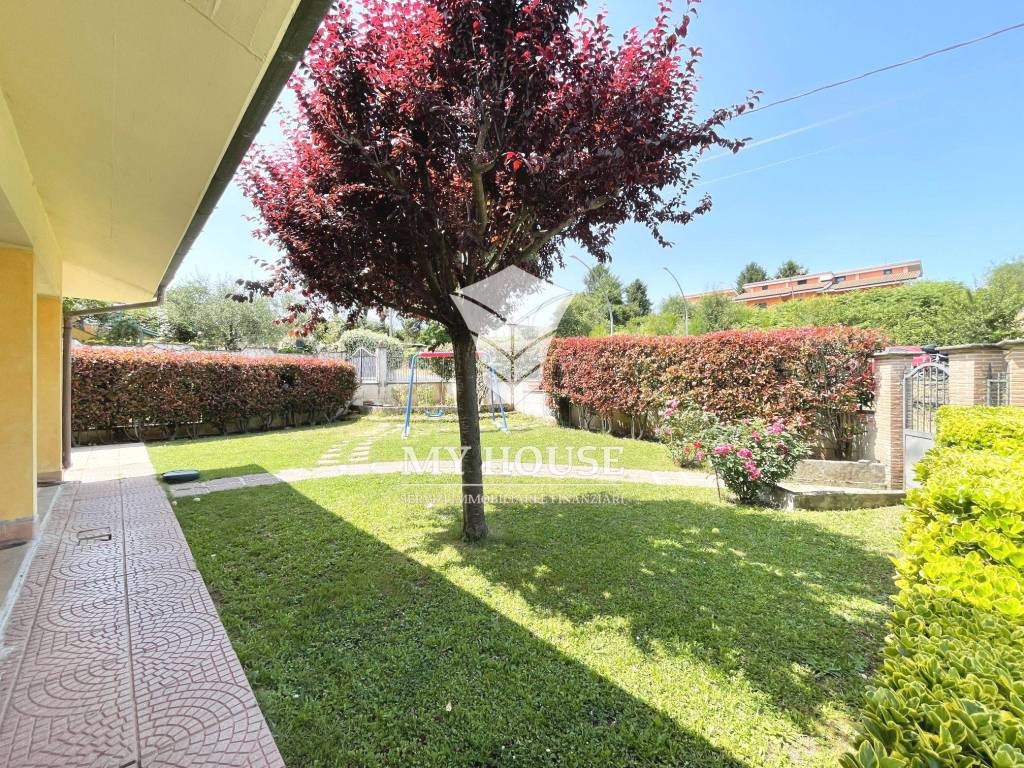 immagine annuncio 5 di 15