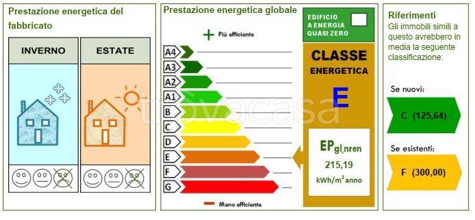 immagine annuncio 10 di 11