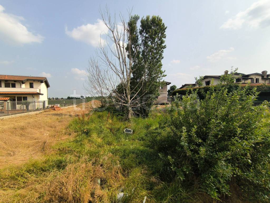 immagine annuncio 7 di 8