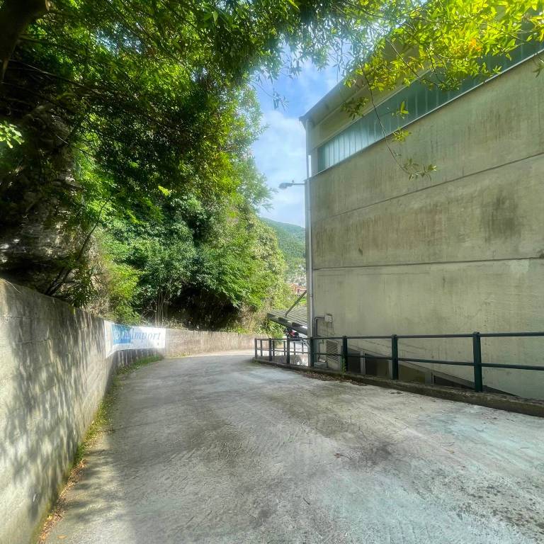 immagine annuncio 3 di 13