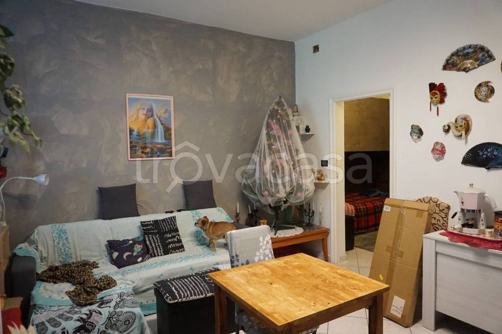 immagine annuncio 9 di 14