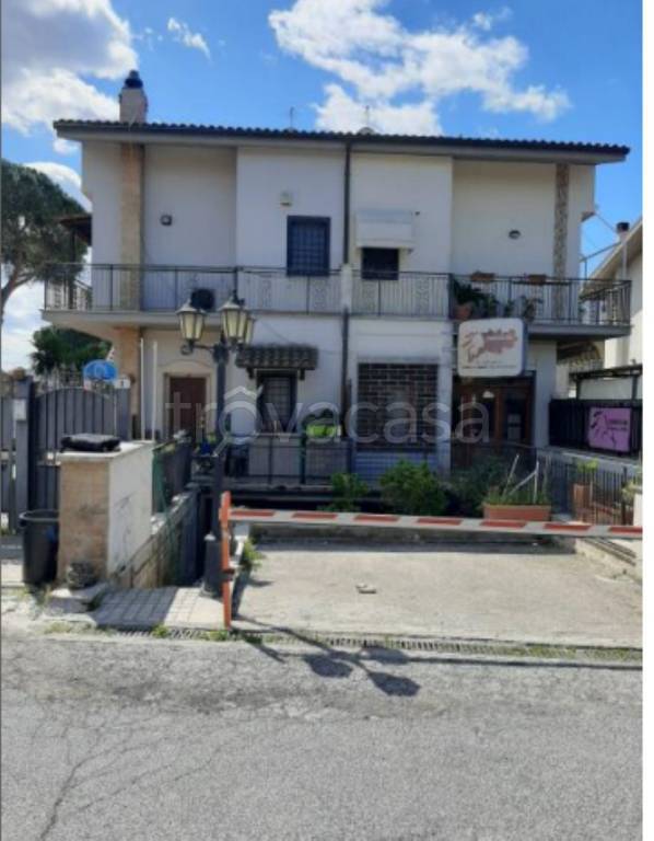 immagine annuncio 5 di 11