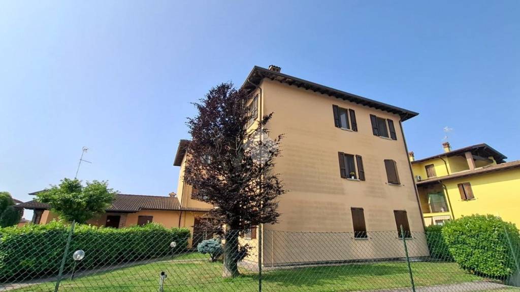 immagine annuncio 3 di 8