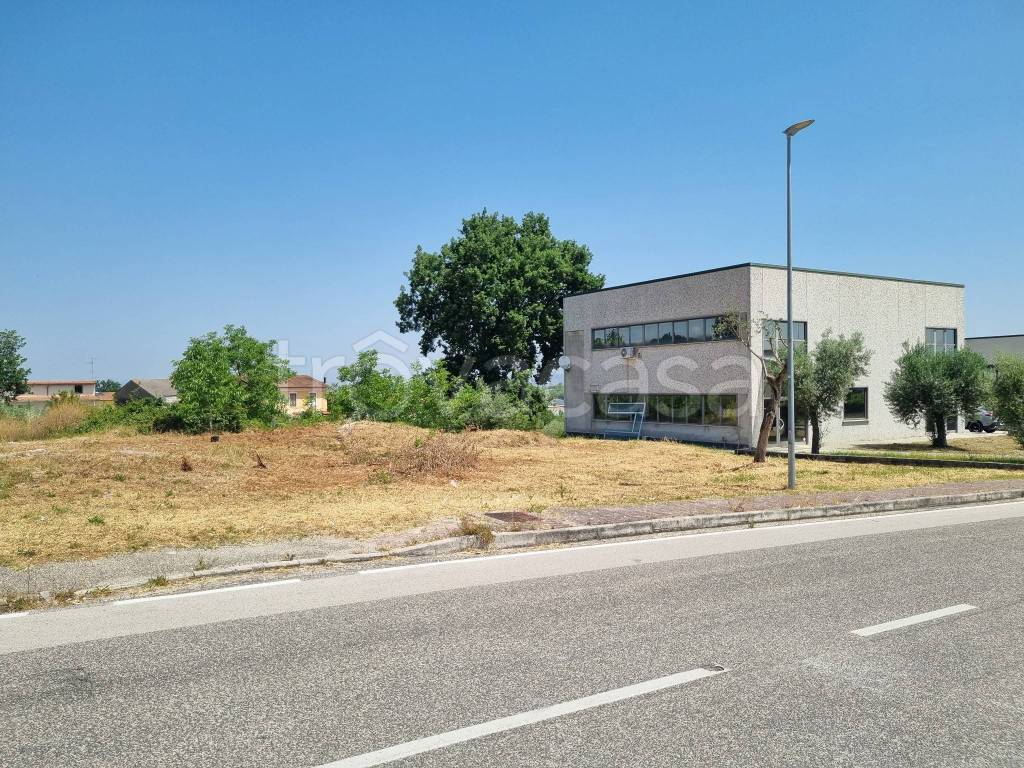 immagine annuncio 1 di 10