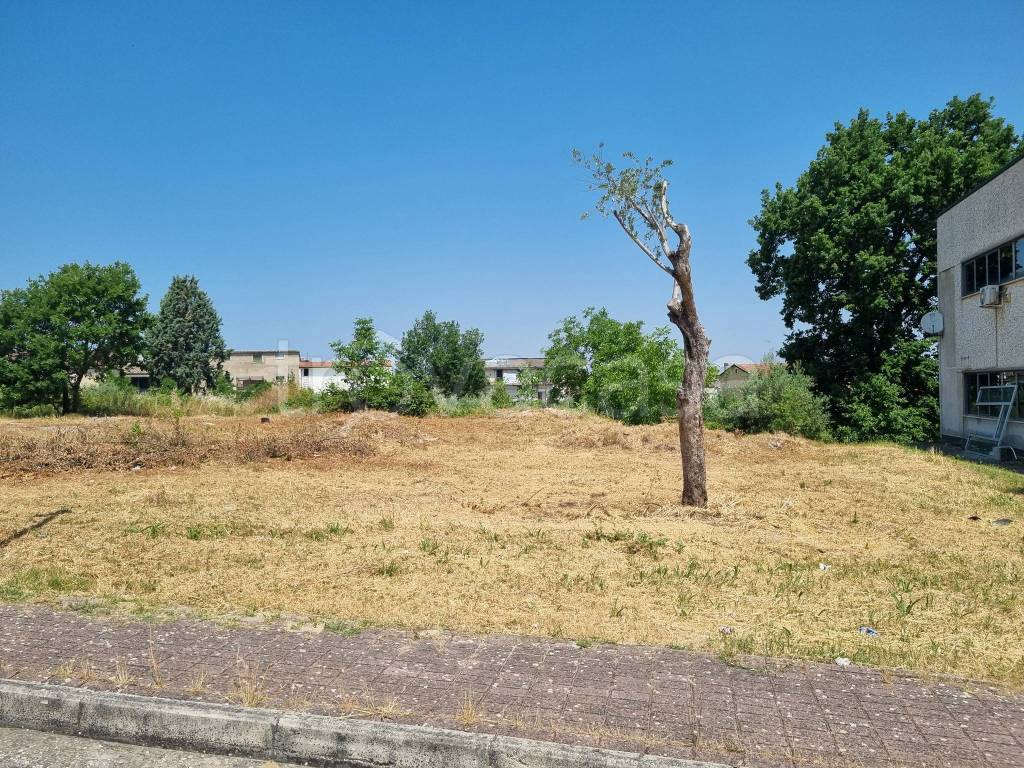 immagine annuncio 6 di 10