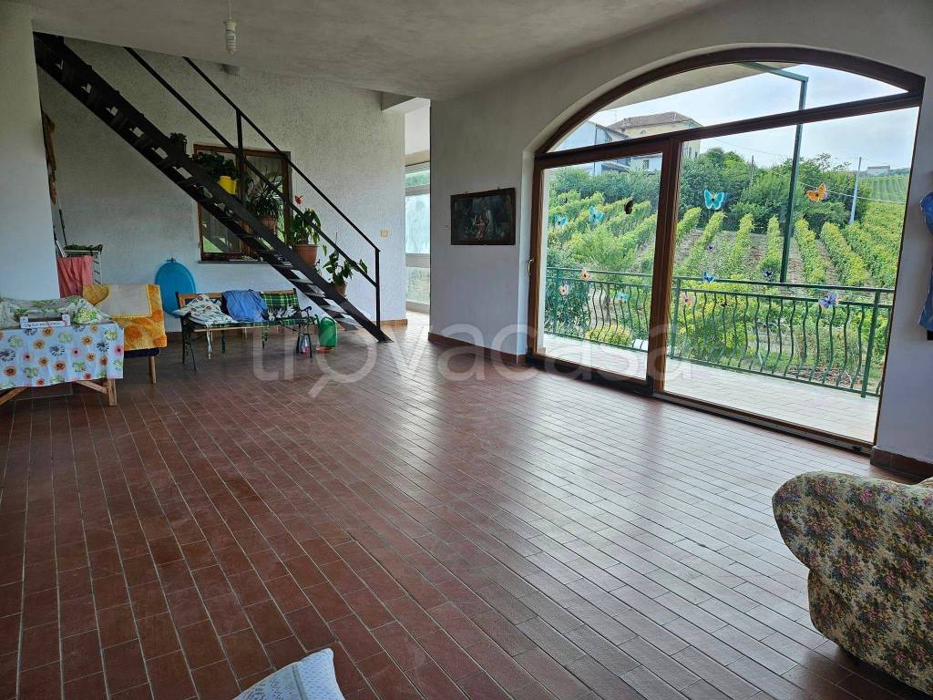 immagine annuncio 4 di 14