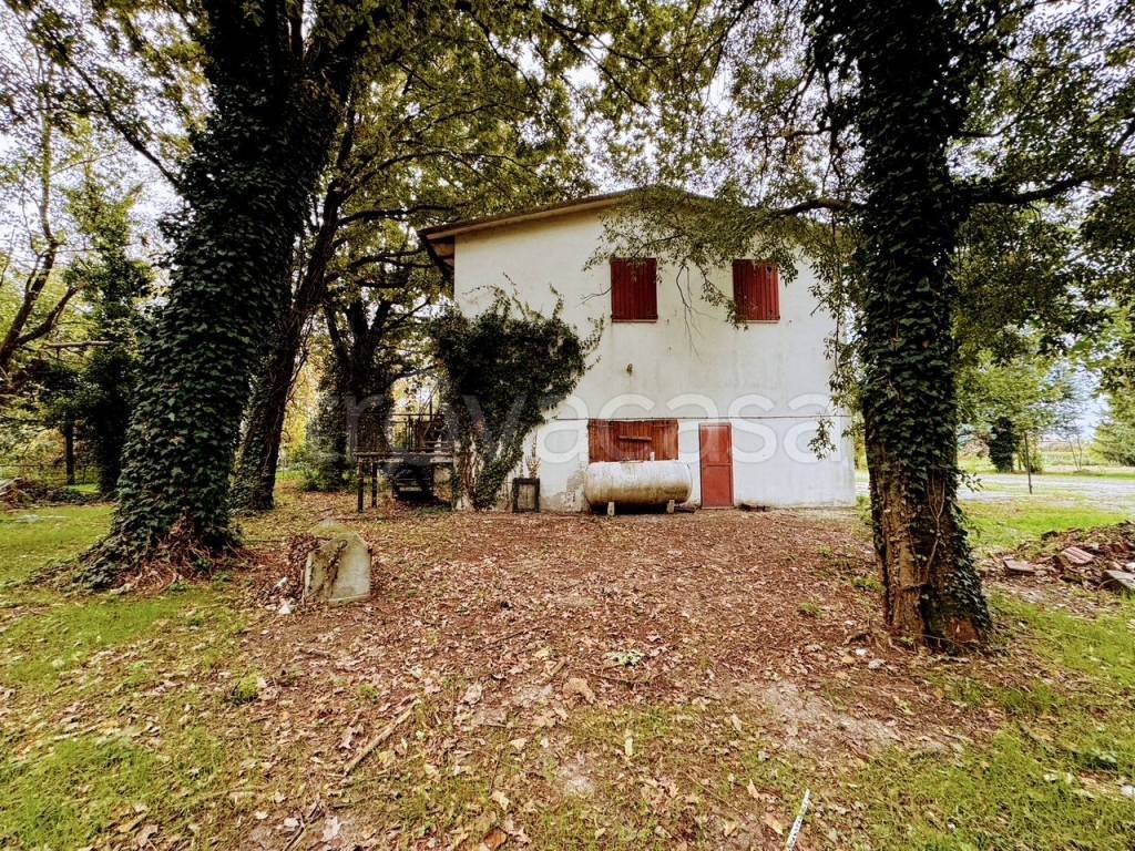 immagine annuncio 4 di 6