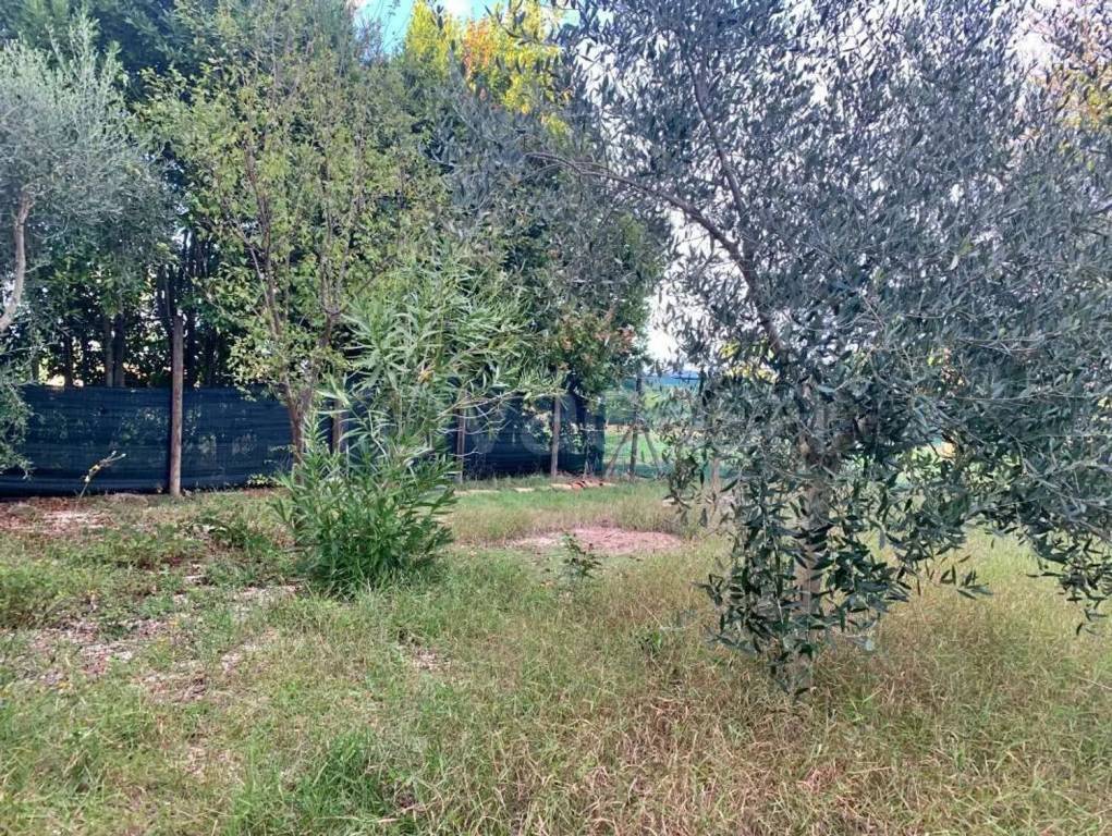 immagine annuncio 2 di 14