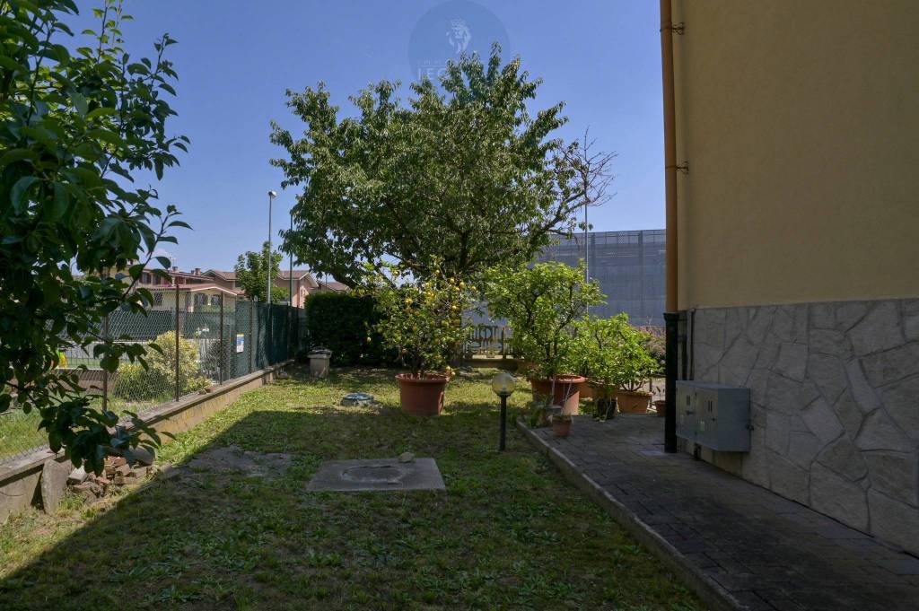 immagine annuncio 6 di 15
