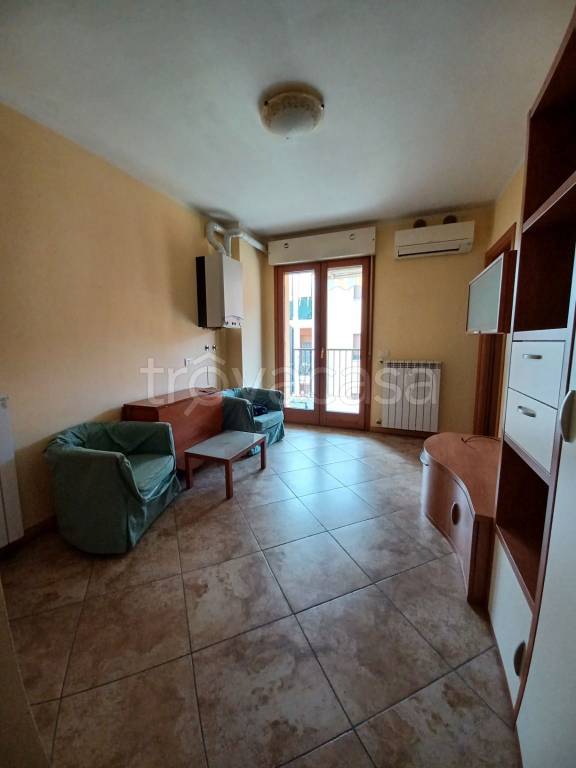 immagine annuncio 3 di 12