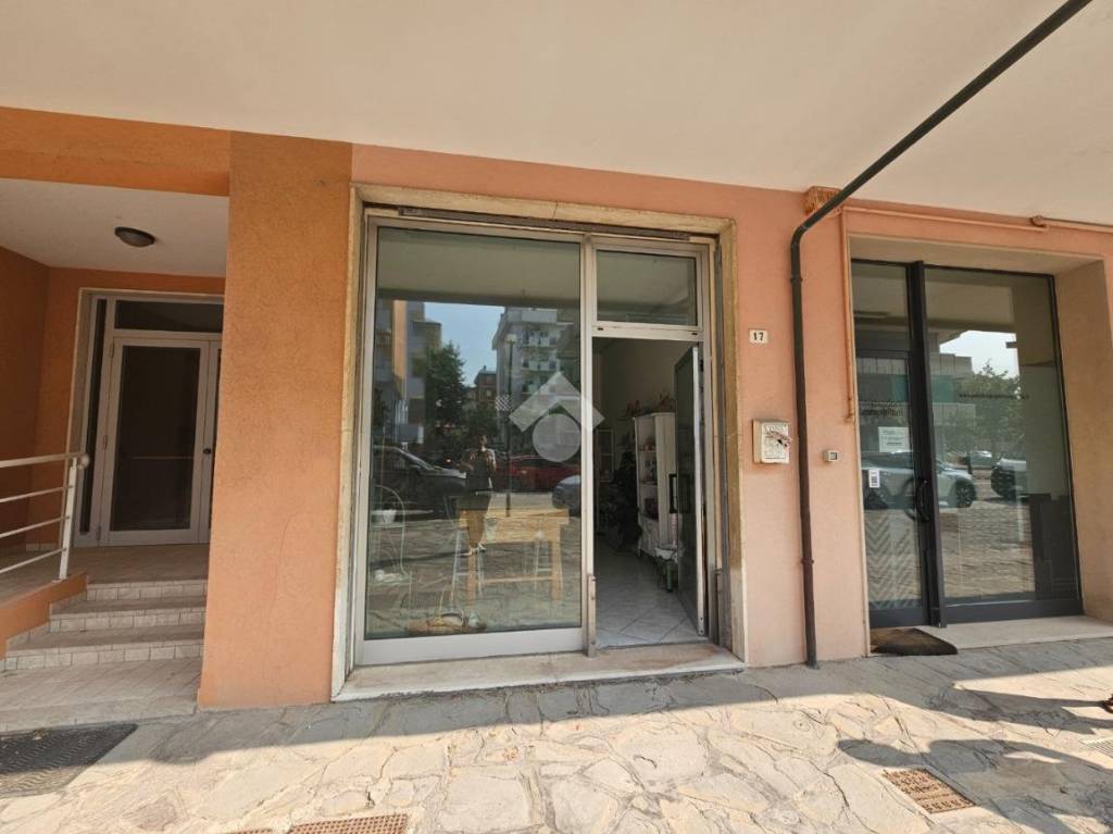 immagine annuncio 6 di 11