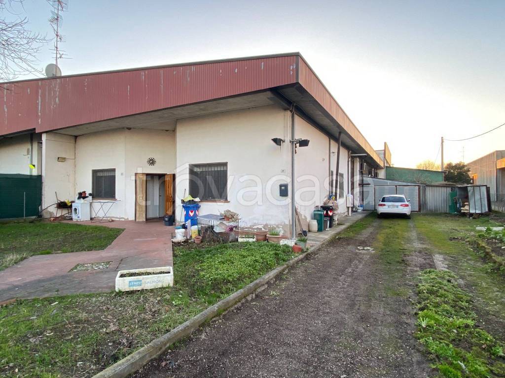 immagine annuncio 1 di 12