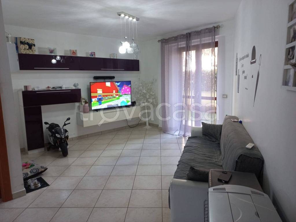 immagine annuncio 11 di 14