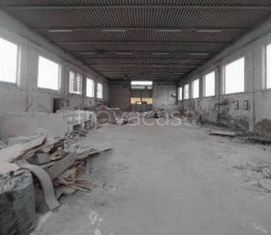 immagine annuncio 6 di 11