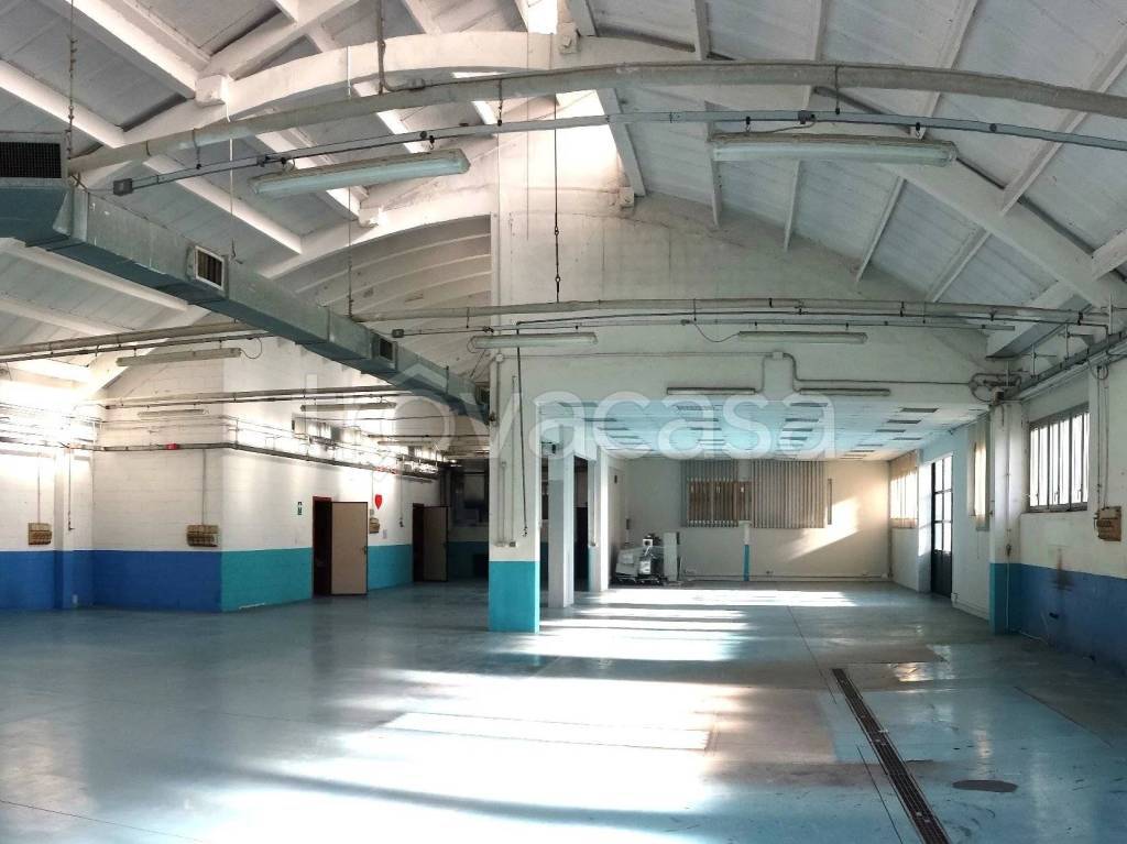 immagine annuncio 1 di 14