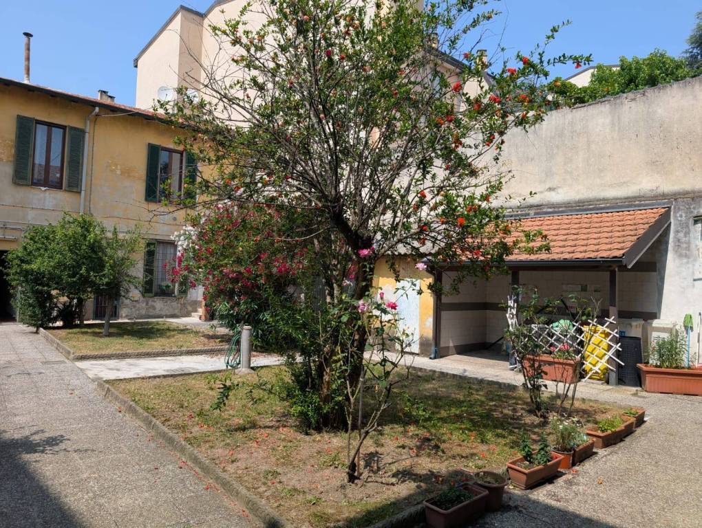 immagine annuncio 6 di 12