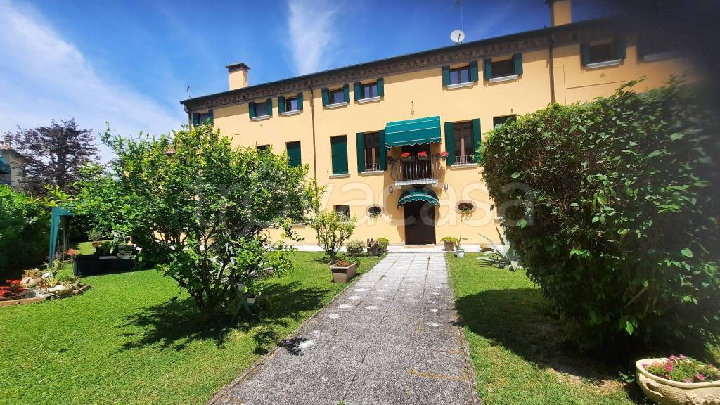 immagine annuncio 1 di 14