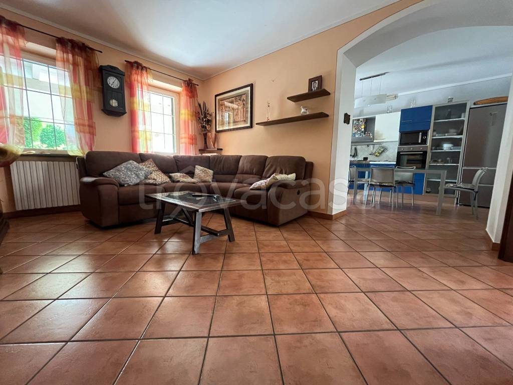 immagine annuncio 12 di 15