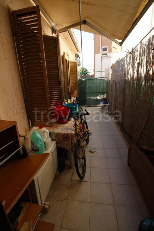 immagine annuncio 11 di 13