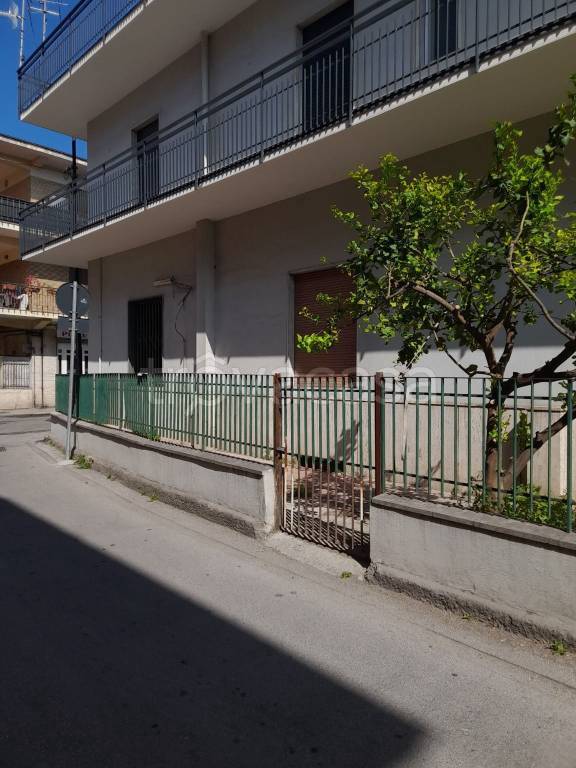 immagine annuncio 8 di 11