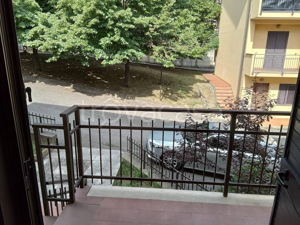 immagine annuncio 9 di 13