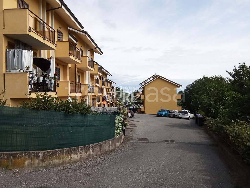 immagine annuncio 12 di 13