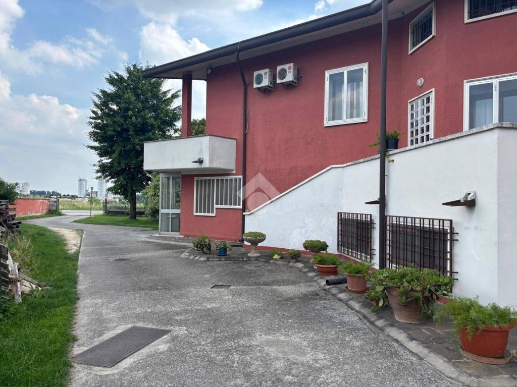 immagine annuncio 3 di 15