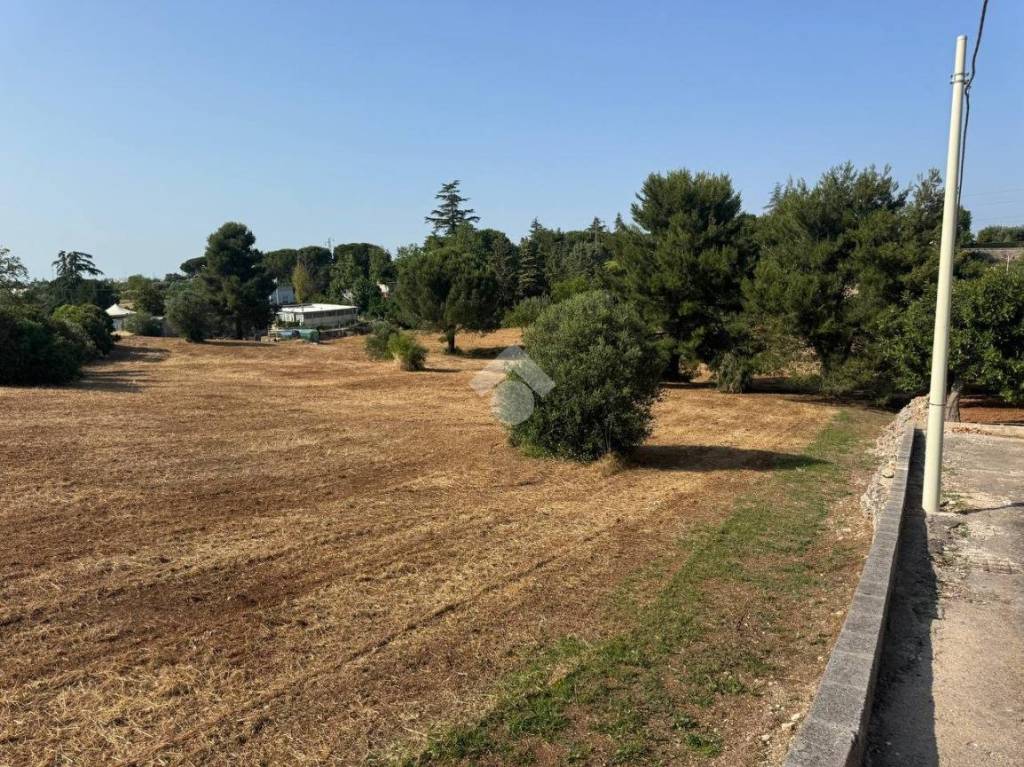 immagine annuncio 7 di 13