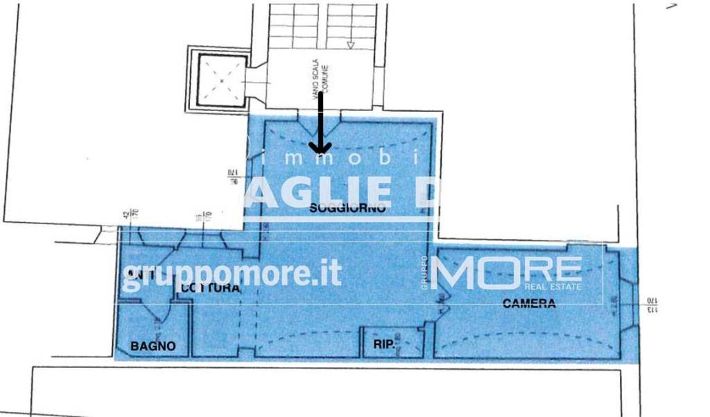 immagine annuncio 6 di 15