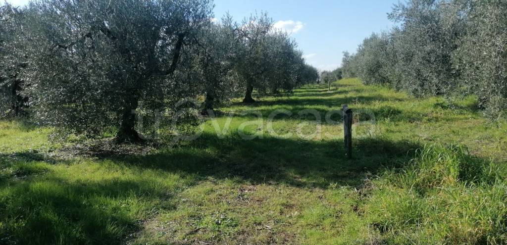 immagine annuncio 1 di 3