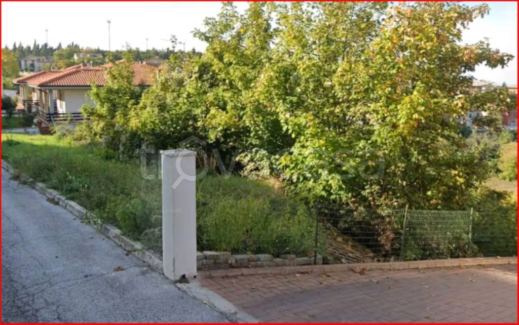 immagine annuncio 2 di 11
