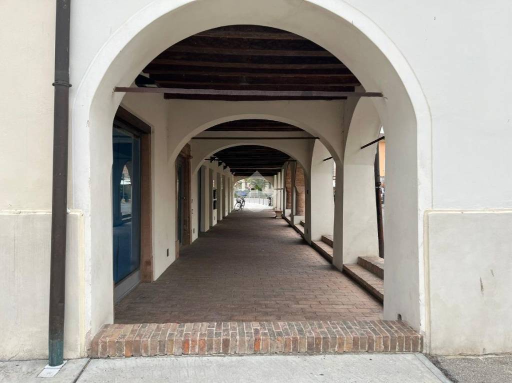 immagine annuncio 3 di 14