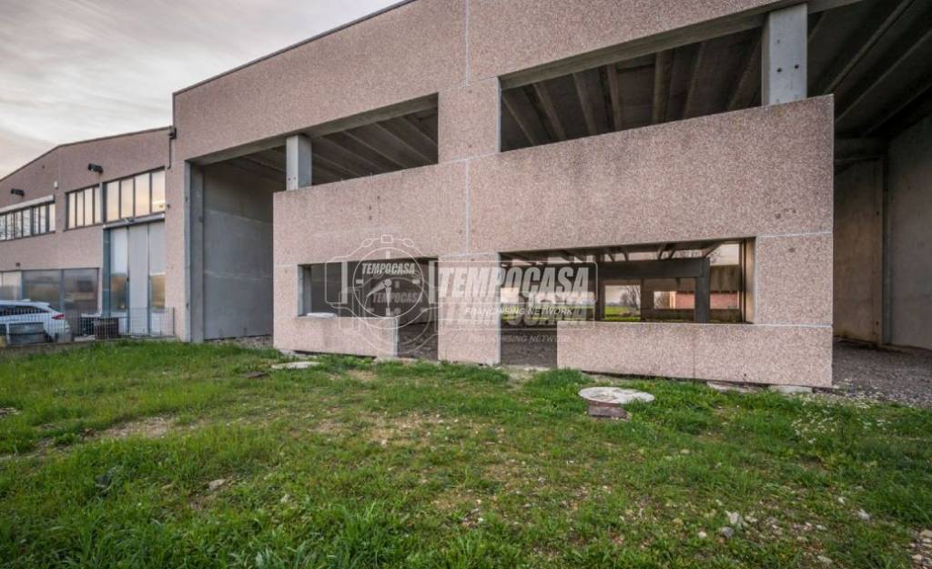 immagine annuncio 2 di 6