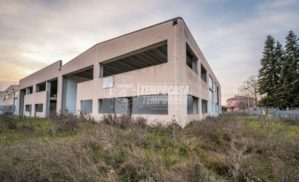 immagine annuncio 3 di 6