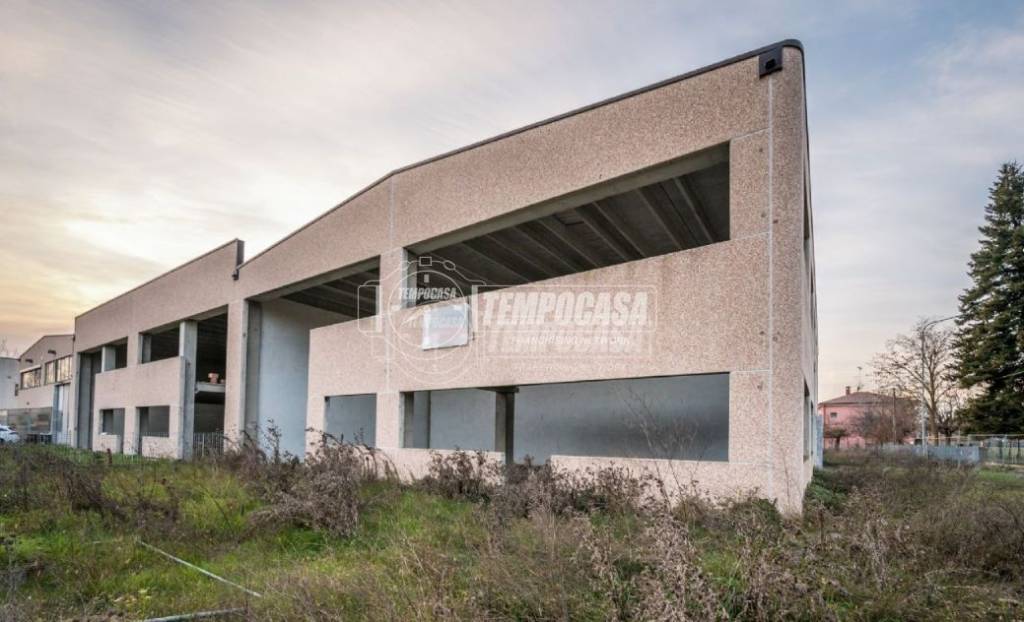 immagine annuncio 4 di 6