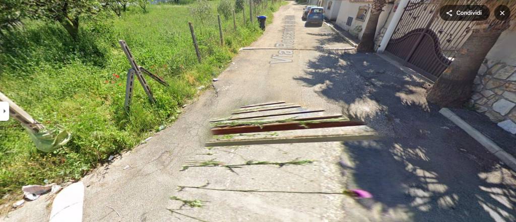 immagine annuncio 7 di 13