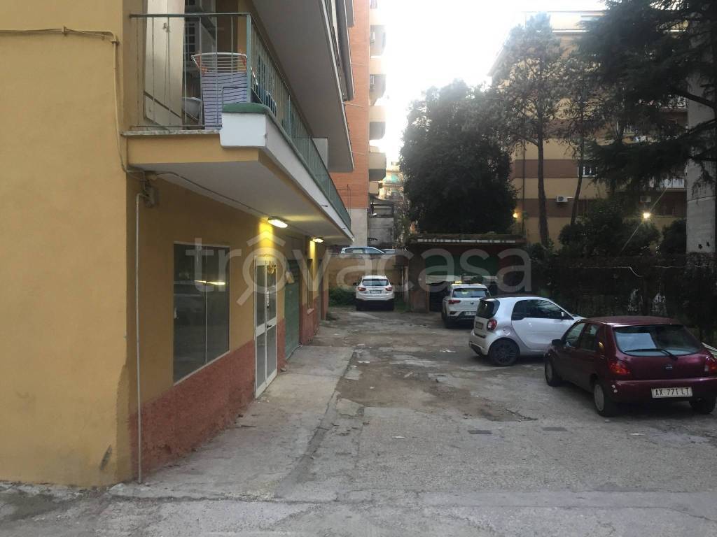 immagine annuncio 1 di 9