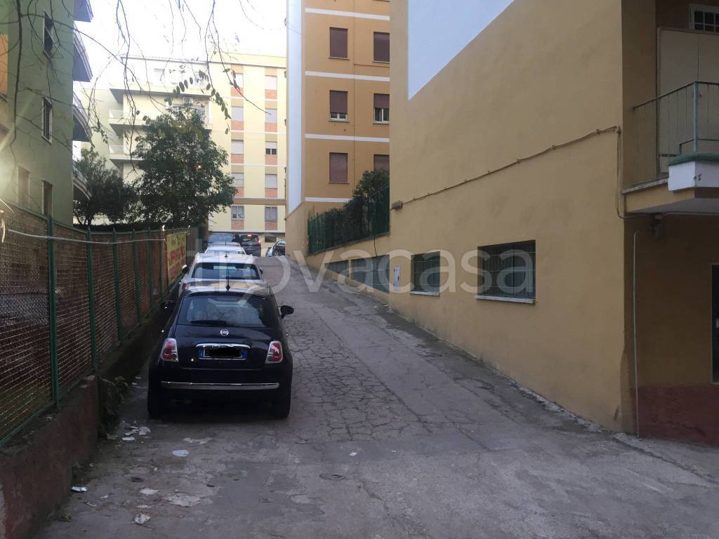 immagine annuncio 4 di 9