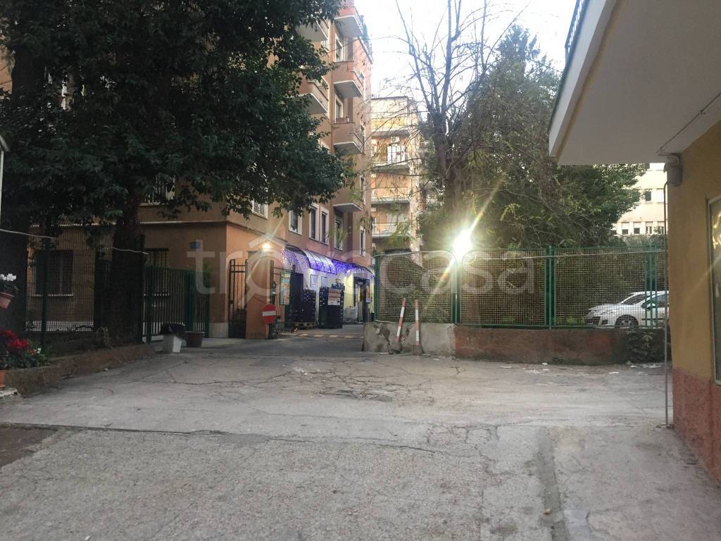 immagine annuncio 5 di 9