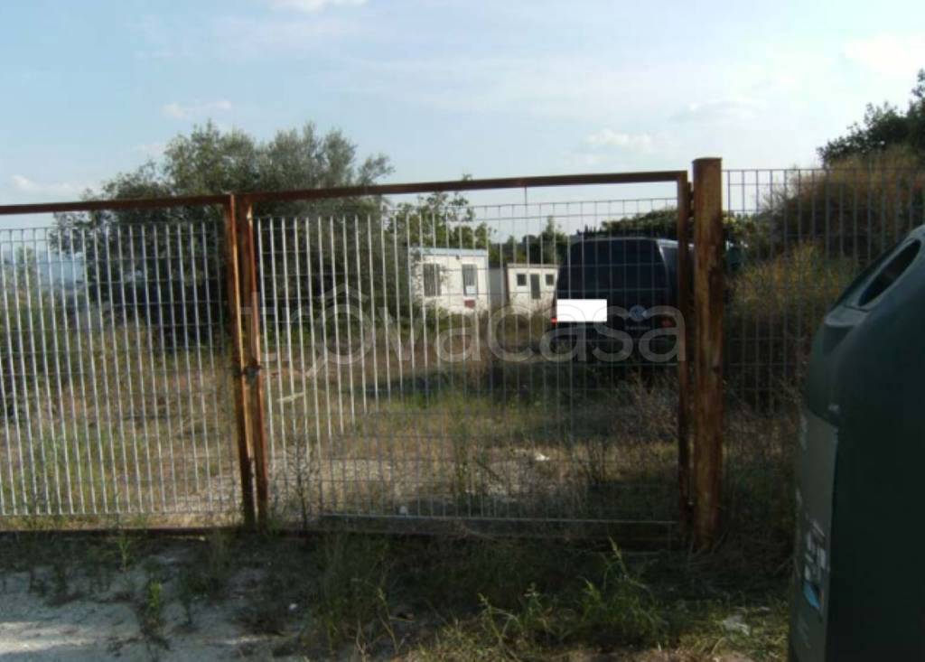 immagine annuncio 1 di 11